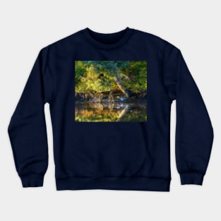 great blue heron walking along a dark pool Crewneck Sweatshirt